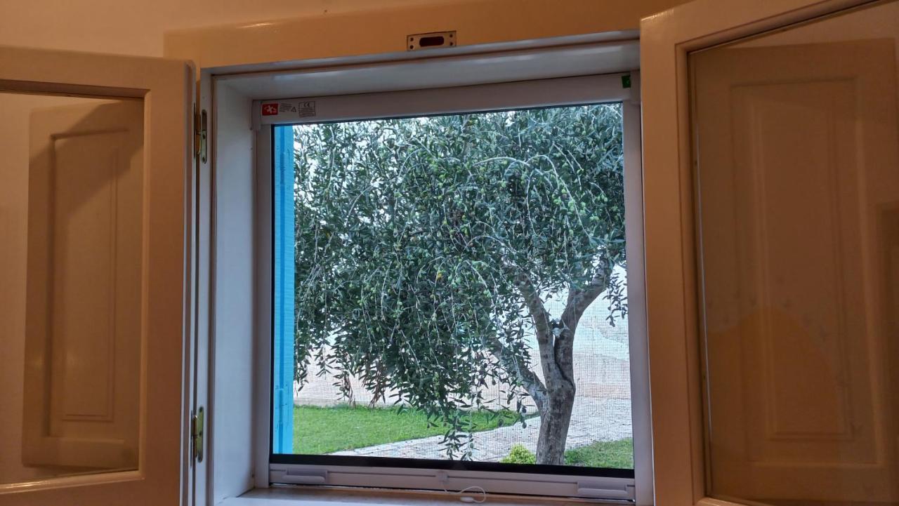 Villino Tronchetto Bianco Bed & Breakfast Mola di Bari Bagian luar foto