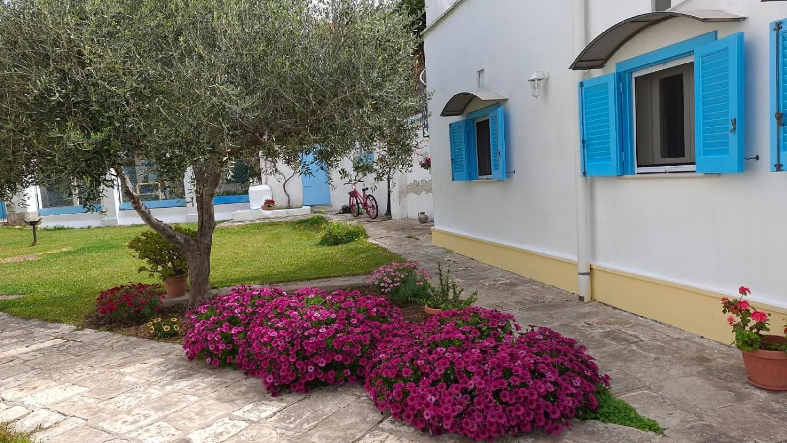 Villino Tronchetto Bianco Bed & Breakfast Mola di Bari Bagian luar foto